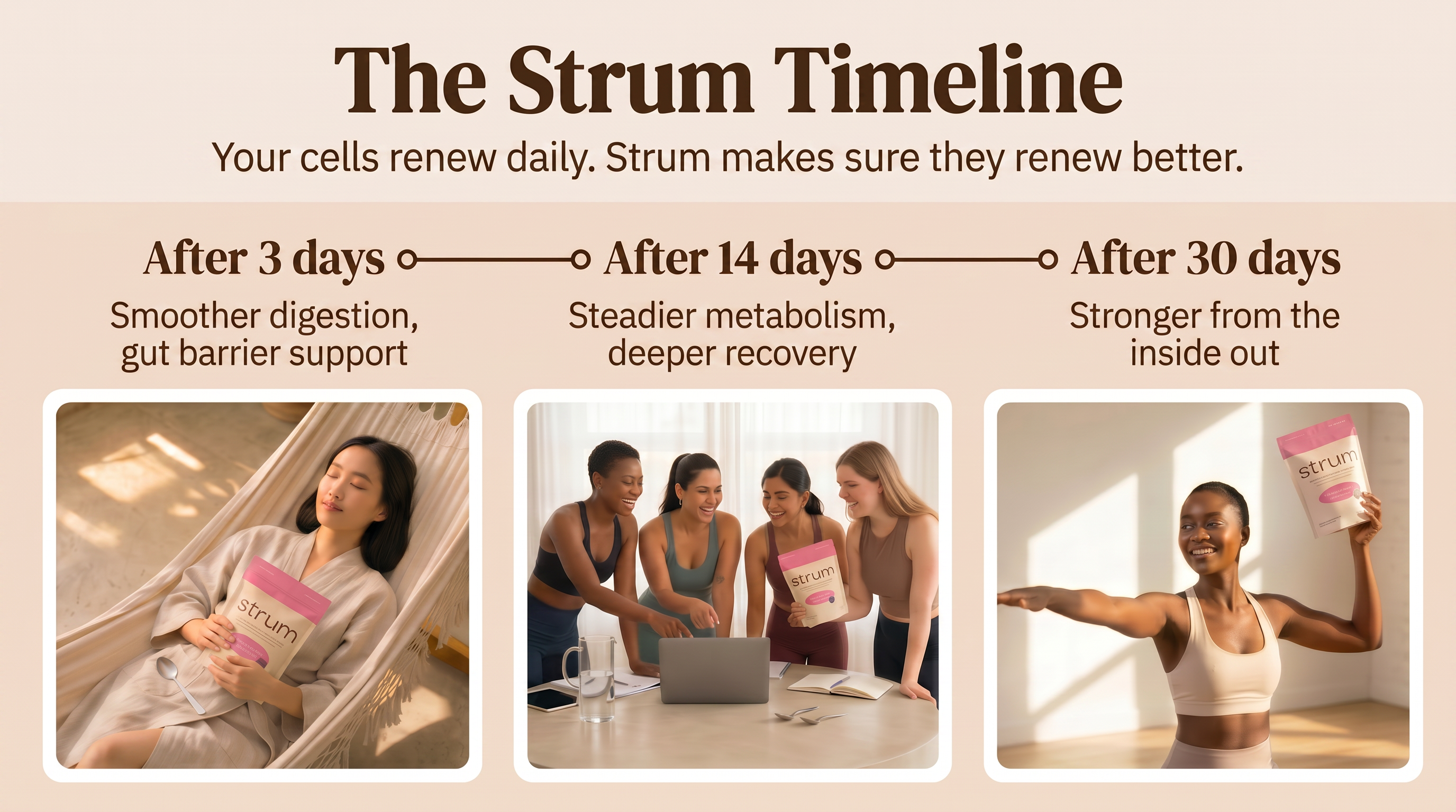 Strum Daily Longevity