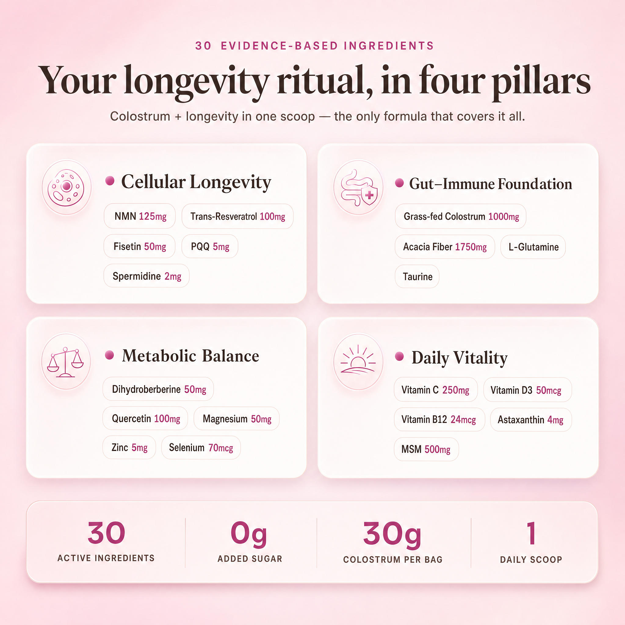 Strum Daily Longevity